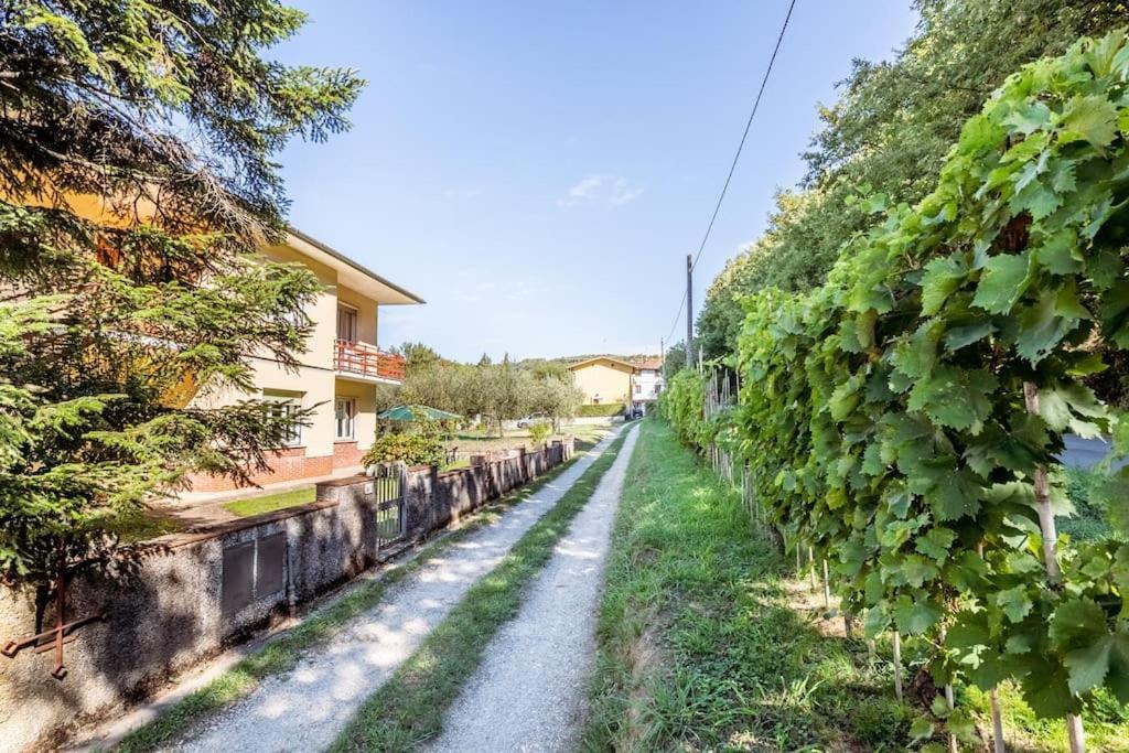 Appartamento Poggio Del Sole Лука Екстериор снимка